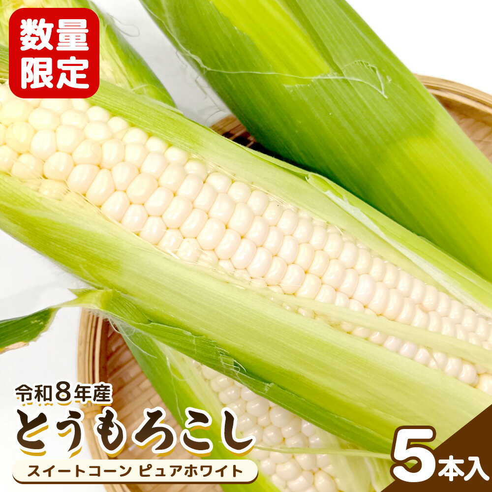 【ふるさと納税】★令和8年産予約開始★数量限定！ とうもろこし スイートコーン ピュアホワイト 5本入 | とうもろこし ピュアホワイト 野菜 取り寄せ 新鮮 バーベキュー 甘い ジューシー ふるさと納税 宮城県 白石市【06168】