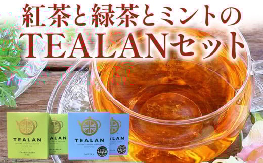 073-16 紅茶と緑茶とミントのTEALANセット