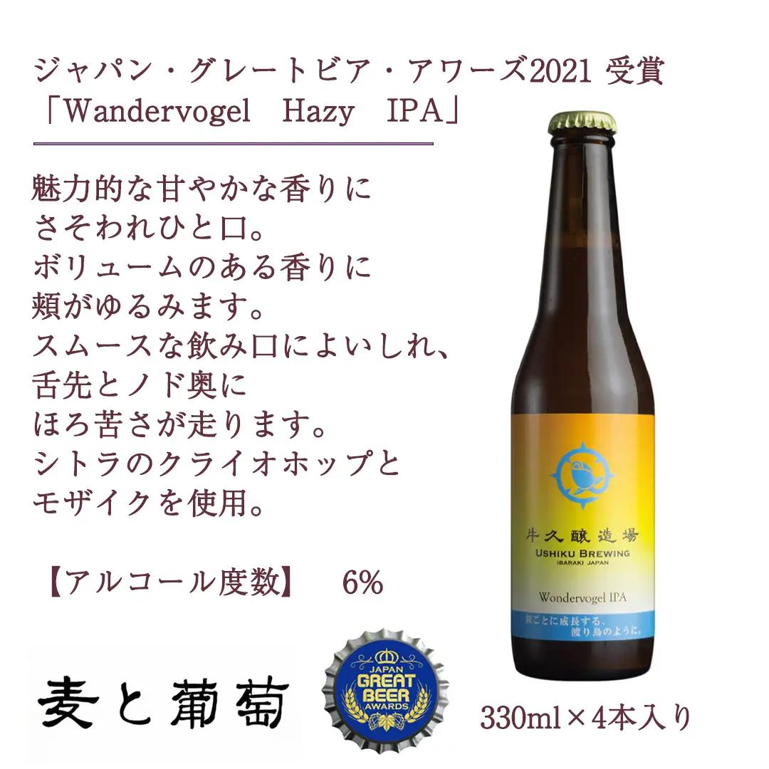 【 お中元 熨斗付 】 2年連続！《 ジャパン・グレートビア・アワーズ 受賞 》クラフトビール3種 計 12本セット