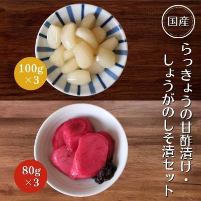 ふるさと納税 田辺市 らっきょうの甘酢漬け100g×3・しょうがのしそ漬80g×3セット【ksn008-1】