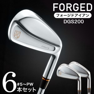 【藤本技工製】HIA-02-04アイアン　#5～Pw(DG) 580BE02N.地クラブメーカー／軟鉄鍛造 フォージド アイアン 国産 ゴルフクラブ