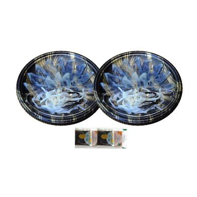 ふるさと納税 岡垣町 本場九州の味 とらふぐ刺身2皿セット(岡垣町)