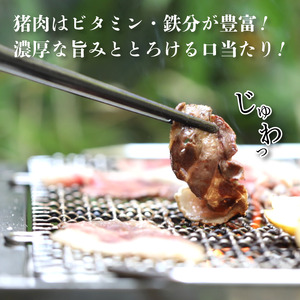 猪肉スライス 300g（約2人前）【 冷凍 国産 猪肉 ロース バラ肉 もも肉 肩肉 スライス肉 いのしし肉 猪 ぼたん鍋 しゃぶしゃぶ すき焼き 焼肉 ジビエ セット 食べ比べ 詰め合わせ 京都 綾