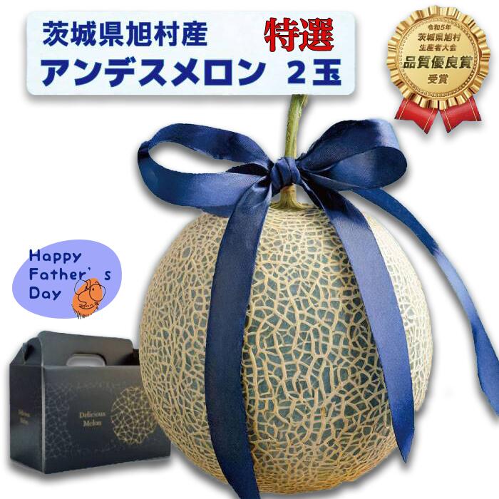 【ふるさと納税】【父の日用ラッピング付】【特秀】アンデスメロン 2玉（2.5kg）茨城旭エメラルド