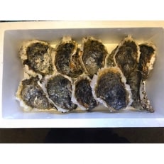 能登産岩牡蠣 (2.5kgセット/8～10個)加熱用