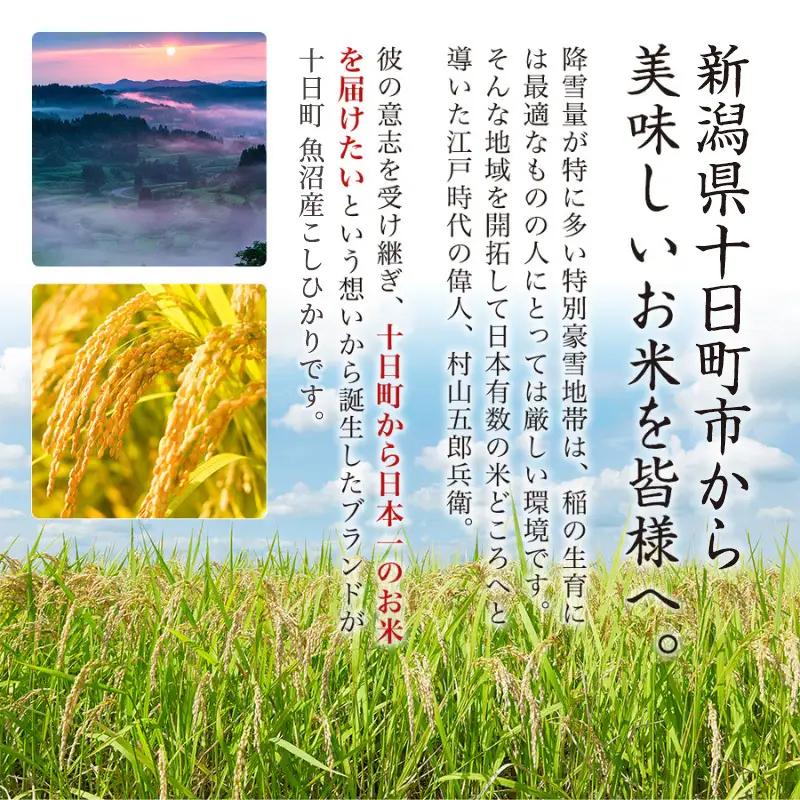 【令和8年産 先行予約】【6ヶ月定期便】特別栽培米 魚沼産こしひかり(十日町地域) 精米 10kg(5kg×2) 米 お米 コシヒカリ 定期 十日町市