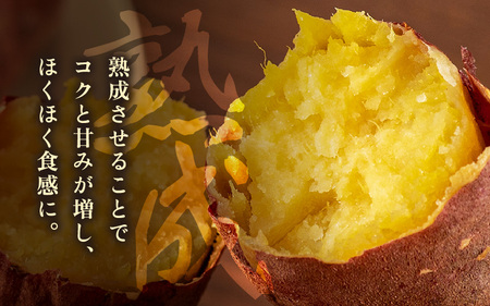 【先行予約】大谷原の熟成さつまいも (5kg 土付き) 約25本【入手困難・数量限定】【2026年10月下旬以降順次発送予定】【サツマイモ 芋 紅はるか】 [m23-a004]