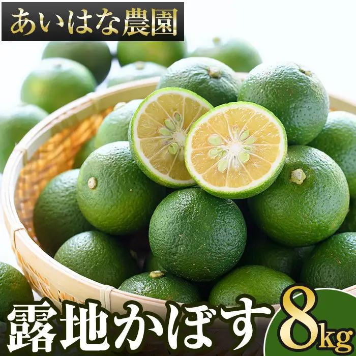 ＜先行予約受付中！2026年8月上旬以降順次発送予定＞露地カボス(約8kg)かぼす カボス 柑橘 特産品 大分県産【107100703】【あいはな農園】