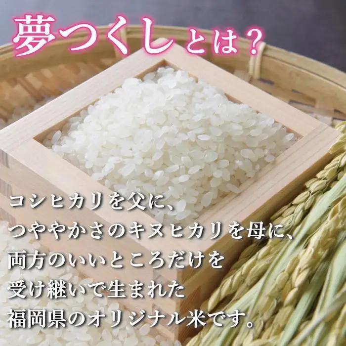 ＜全3回 定期便＞新米 無洗米 令和8年産 夢つくし 5kg 福岡県