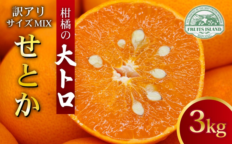 
                  【先行予約】訳あり せとか 3kg サイズミックス フルーツアイランド・マルエム直販の愛南産 せとか 約3kg 柑橘 フルーツ 果物 蜜柑 みかん くだもの mikan かんきつ オレンジ せとか 高級柑橘 スイーツ デザート 果実 果汁 甘い ジューシー おいしい 特産品 国産 農園 直送 産地 直送 愛媛県 愛南町
                
