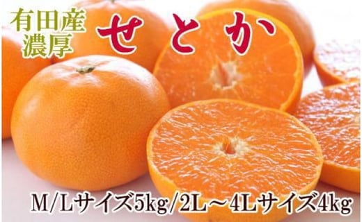 一度は食べていただきたい「有田産のせとか」約4～5kg（サイズおまかせ）★2026年2月中旬頃より順次発送［TM138］