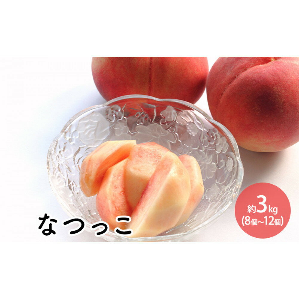 【ふるさと納税】2026年発送なつっこ約3kg（8個～12個） 　お届け：2026年8月上旬～8月中旬まで