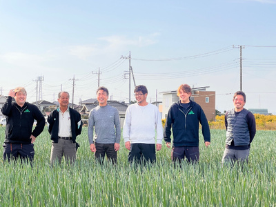 越谷ねぎ（白ねぎ5kg） ／ ネギ 葱 白ネギ 白葱 野菜 甘み 辛み 埼玉県 No.029