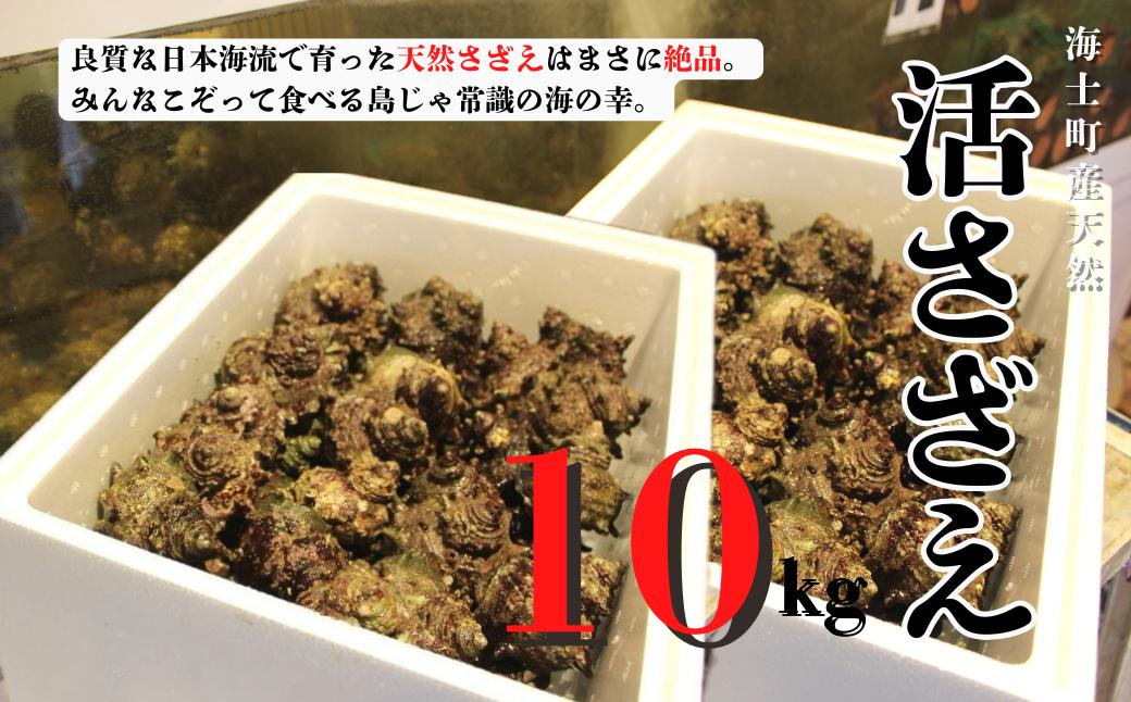 
            【先行予約受付中：2026年1月中旬以降順次発送】島獲れ活さざえ10kgセット  冷蔵便 サザエ 栄螺 貝 海鮮 BBQ さざえご飯 壺焼き 刺身 バーベキュー ギフト お中元 御中元
          