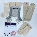 【ふるさと納税】王寺子供靴下5足セット女児10-12cm　【 ファッション 子供靴下 靴下 くつした 】