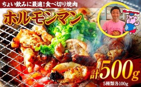 ちょい飲みに最適！食べ切り焼肉「ホルモンマン」セット500g 豚ホルモン 豚肉 焼肉 BBQ ガツナンコツ レバー 白モツ 大トロ 群馬県 渋川市 F4H-0179
