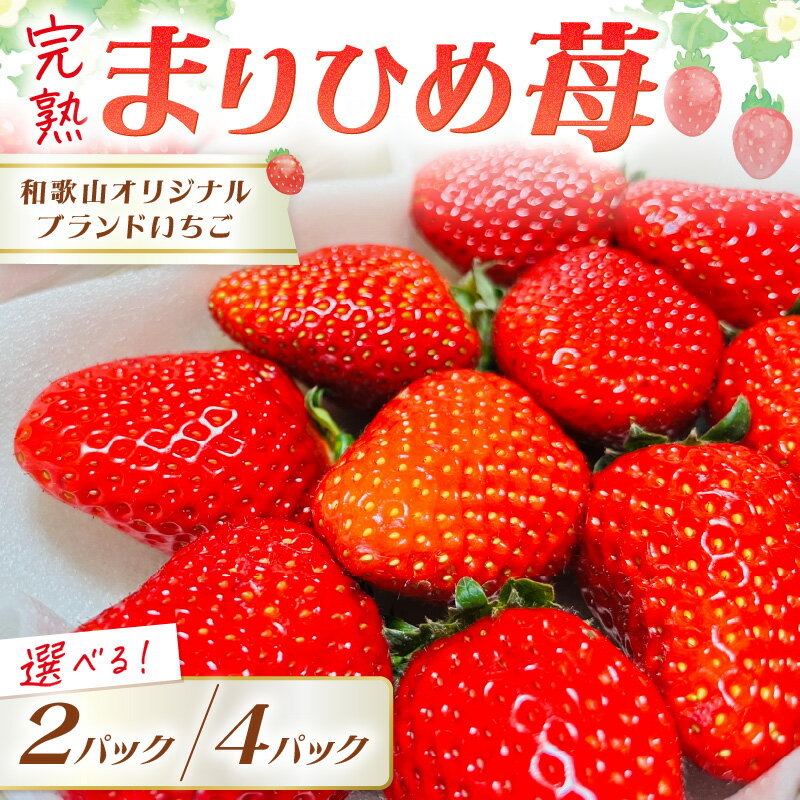 【ふるさと納税】【和歌山オリジナルブランドいちご】完熟まりひめ苺 2パック 4パック【配送不可地域：北海道・沖縄・離島】《先行予約》