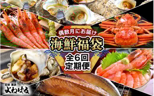 定期便 ≪年6回お届け≫ 海鮮定期便 偶数月にお届け 海鮮福袋 【産地直送 甘えび 甘海老 アマエビ サザエ さざえ セイコガニ かに 蟹 サバ 鯖 海の幸 貝 甲殻類 砂抜き済み 海鮮 魚介 酒の肴 つまみ 絶品 冷凍 福井】 [m17-g006]