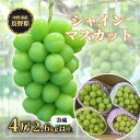 【ふるさと納税】長野県中野市産　冬でも食べれる　シャインマスカット4房(2.6kg以上)_ マスカット ぶどう ブドウ 葡萄 フルーツ 果物 くだもの 人気 美味しい ふるさと 中野市 ギフト プレゼント 贈り物 【配送不可地域：離島】【1331183】