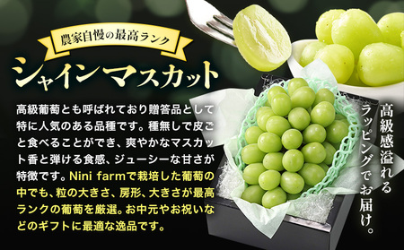 【2026年発送】シャインマスカット 農家自慢の最高ランク シャインマスカット  約750g 特秀クラス Nini farm 
