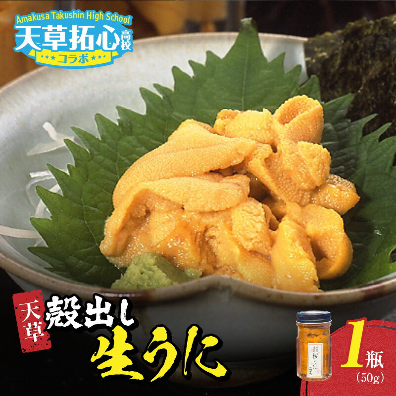 【ふるさと納税】殻出し 生うに 50g × 1瓶 うに 素潜り 無塩 瓶詰め 濃厚 味わい 海の恵み 海の幸 磯の香り 冷蔵 新鮮 栄養価 無菌海水 洗浄 ミョウバン不使用 そのままの美味しさ 熊本県 天草市 お取り寄せ お取り寄せグルメ 送料無料