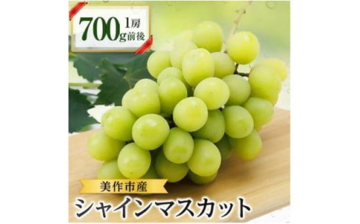 美作市産シャインマスカット700g前後　1房【1295227】