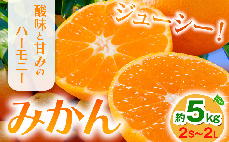 
                  みかん 約5kg (2S-2Lサイズ) 金峰柑橘組合株式会社 ミカン 柑橘 フルーツ 旬 熊本県 玉名郡 玉東町 《10月中旬-1月中旬頃出荷》贈り物 果物 くだもの
                