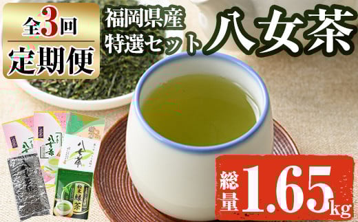 
【ksg1371】＜定期便・全3回(連続)＞福岡銘茶八女茶 特選セット(総量1.65kg)【マル五】
