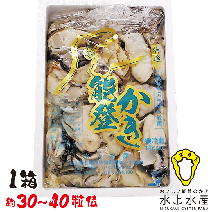 【能登半島地震復興支援】【発送時期が選べる】魚介類 牡蠣 水上水産の能登のかき むき身 約800g～900g入（30～40粒位）| 牡蠣 養殖 冷蔵配送 不在日対応可能 かき オイスター カキフライ 鍋 アヒージョ 海産物 海鮮 魚介 魚貝 国産 石川県 七尾市 能登 ※2025年12月中旬～2026年4月下旬頃に順次発送予定