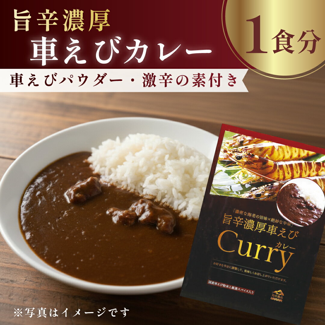 【ふるさと納税】＼ ポスト 投函 で 受け取り 簡単 ／旨辛 濃厚 車えび カレー 1食分 車えび粉末 と 特撰 スパイス入り エビ 海老 えび スパイス 大分県 姫島村 ひめしま C22