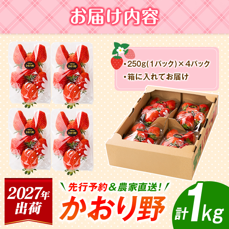 ＜2027年出荷＞先行予約 宮崎県産 いちご「かおり野」計1kg（250g×4パック）フルーツ 期間限定 デザート ご褒美【B700】_イメージ3