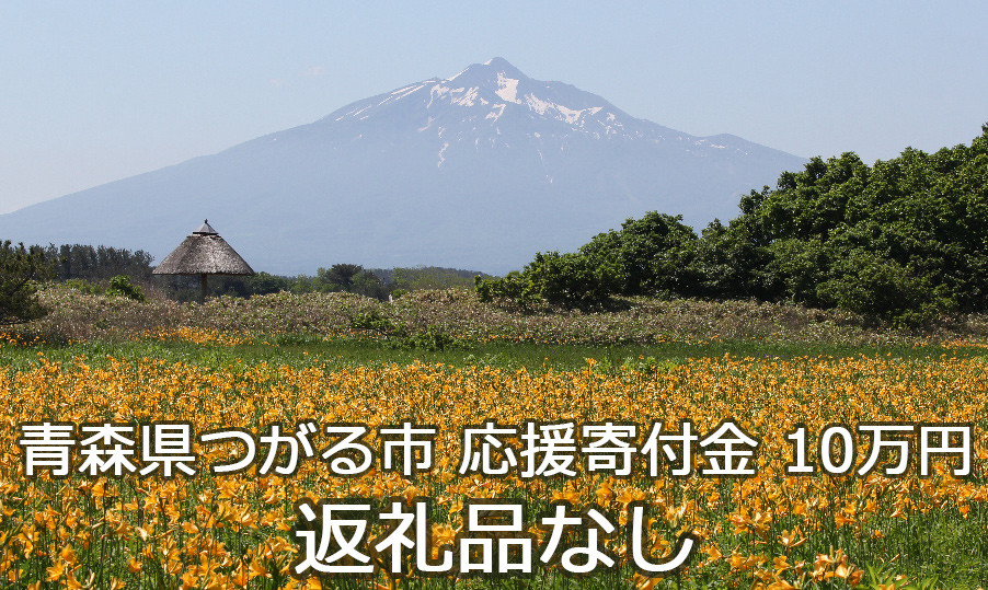 
【返礼品なし】「つがる市へのご寄附 100,000円」つがる市の発展のために活用させていただきます！ [0079]
