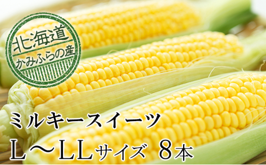 
朝採りとうもろこし【ミルキースイーツ】L～LL 8本セット≪北海道上富良野町産≫
