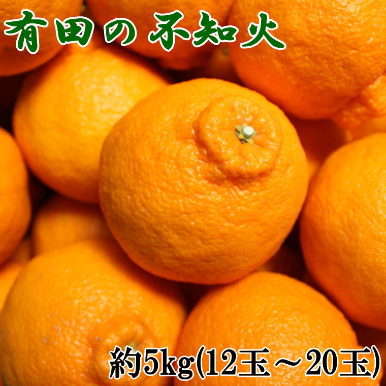 【ふるさと納税】【2026年先行予約】【限定】 【濃厚】有田の 不知火 約5kg（12玉～20玉おまかせ）【でこぽん デコポン しらぬい 不知火 柑橘】