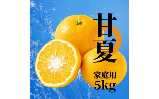 【2027年2月下旬頃から順次発送】甘夏 家庭用  約5kg | 愛媛 愛媛県産みかん 蜜柑 ミカン mikan みかん あまなつ  柑橘 お取り寄せ グルメ 期間限定 数量限定 あまい 甘い すっきり 酸味 果物 旬  美味しい  愛媛県 松山市