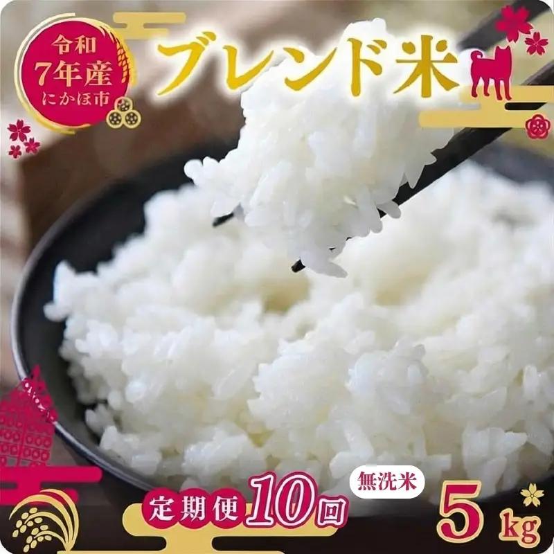 【定期便10か月】無洗米 ブレンド米 5kg  令和7年度産 無洗米
