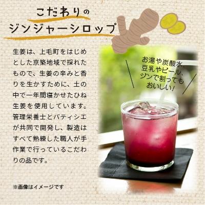 ふるさと納税 上毛町 【上毛町産ブルーベリー使用】ジンジャーシロップ　2本セット |  | 02