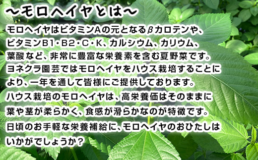 『先行予約』【12月上旬より順次発送】冬穫れハウスモロヘイヤ(100g×5袋)とアイスプラント(70g×5P)セット ネバネバ 高栄養価 プチプチ 新体験 定番おひたし 和洋中の各種スープ お肉・お魚