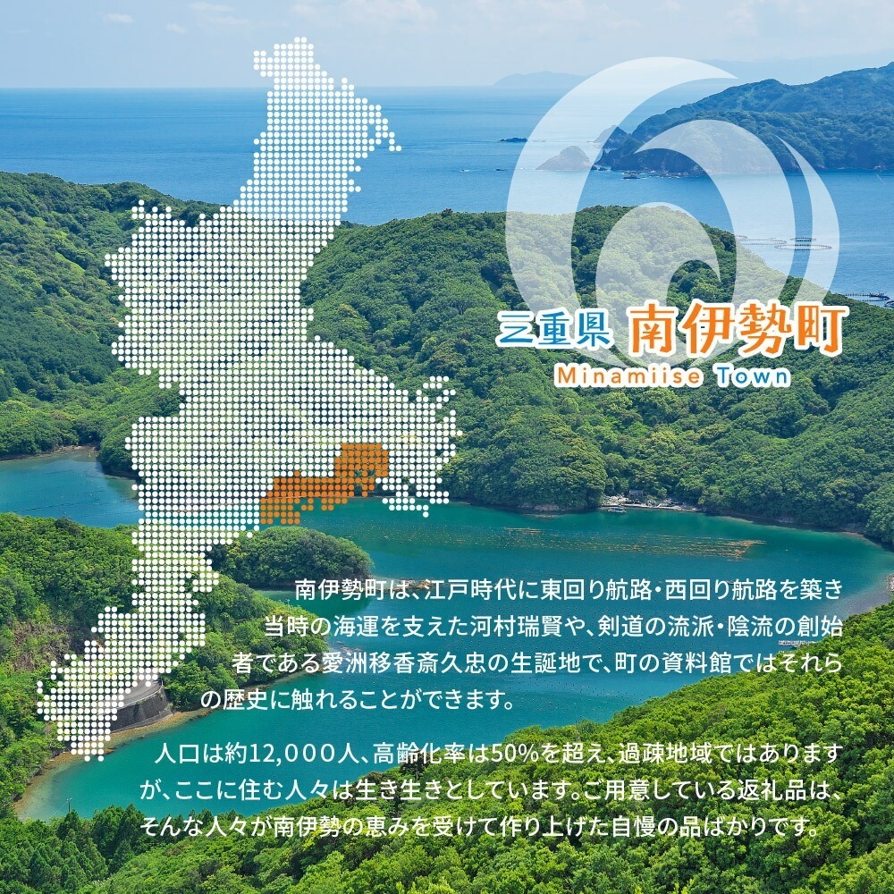 【先行予約】 いちご 250g×4パック かおり野 苺 数量限定 新鮮 産地直送 厳選 フルーツ 果物 くだもの 贈答用 贈答品 贈答 ギフト プレゼント 国産 三重県 伊勢 志摩 南伊勢町 1000