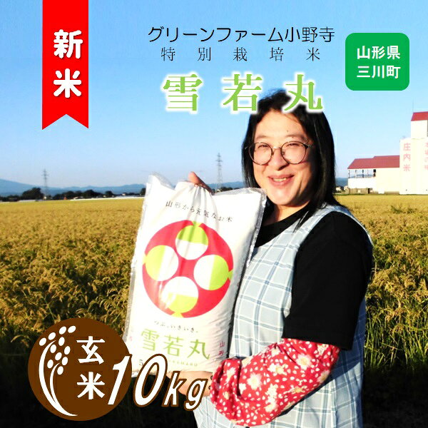 【ふるさと納税】令和8年産 新米予約 【玄米】グリーンファーム小野寺の特別栽培米雪若丸10kg
