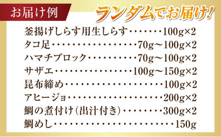 海鮮 旬の海の幸 寄附額4万円相当 海鮮[XBY007]