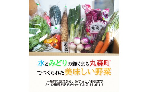 季節のおすすめ野菜おまかせ詰め合わせ3ヵ月定期便 8種～12種類