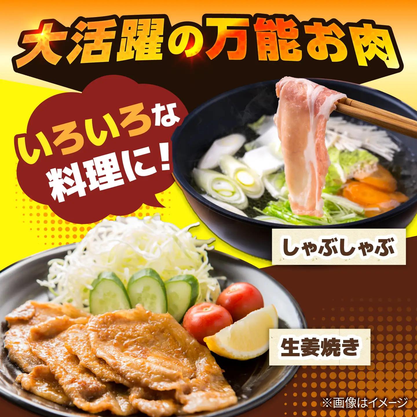 豚肉 切り落とし 1.2kg 小分け BCEQ006