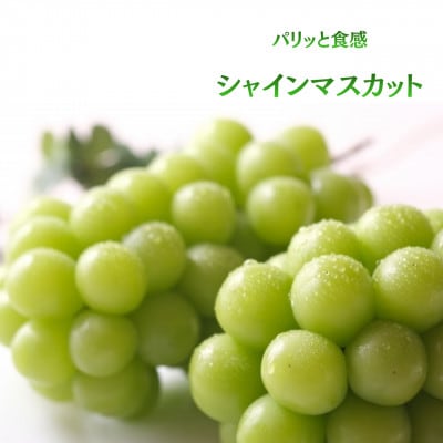 【発送月固定定期便】【2026年先行受付】旬のフルーツ定期便　桃2kg・シャインマスカット全2回【配送不可地域：離島・沖縄県】