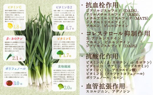 有機葉ニンニクと四万十豚で作った最高級餃子（4パック4人前）完全無添加