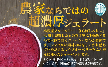 きらぼしべりぃのリッチソルベ4個入り