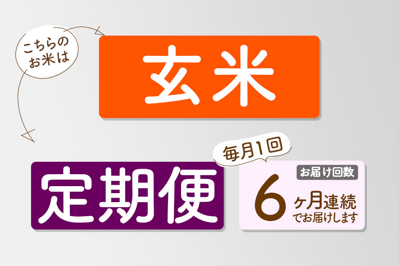 【玄米】《定期便6回》令和6年産 有機アイガモ農法コシヒカリ 10kg（5kg×2袋） 金井農園