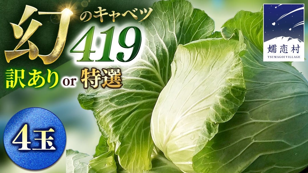 
                  【7月中旬発送開始】 まぼろしの419キャベツ 4玉 きゃべつ 嬬恋村産キャベツ 羽生田売店 幻のキャベツ419 産地直送 期間限定 先行予約 人気 朝採り 通販 お取り寄せ 関東 群馬 出荷時期限定 先行受付 [AL021tu00]
                