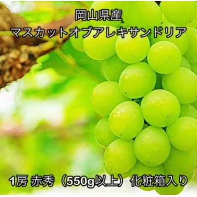 【2026年発送】岡山県産 マスカットオブアレキサンドリア 1房 赤秀 (550g以上)　化粧箱入り【配送不可地域：離島】【1710829】