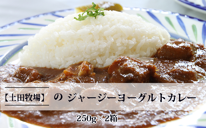 ジャージーヨーグルトカレー 250g 2箱 土田牧場 ジャージー牛 ヨーグルトカレー レトルトカレー カレー 惣菜 簡単調理 温めるだけ レトルト レトルト食品 秋田 秋田県 にかほ市